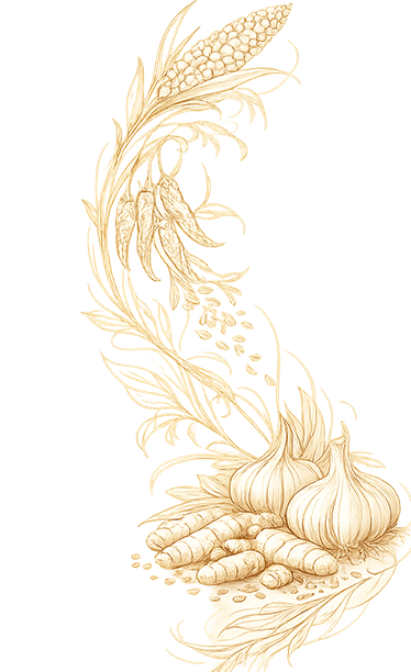 Shape